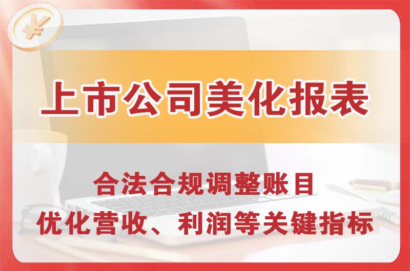 瑞丽上市公司美化报表